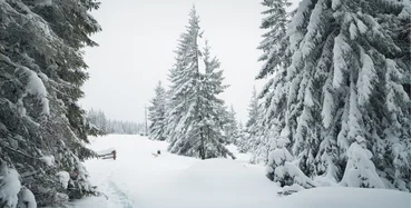 wintersport busje huren
